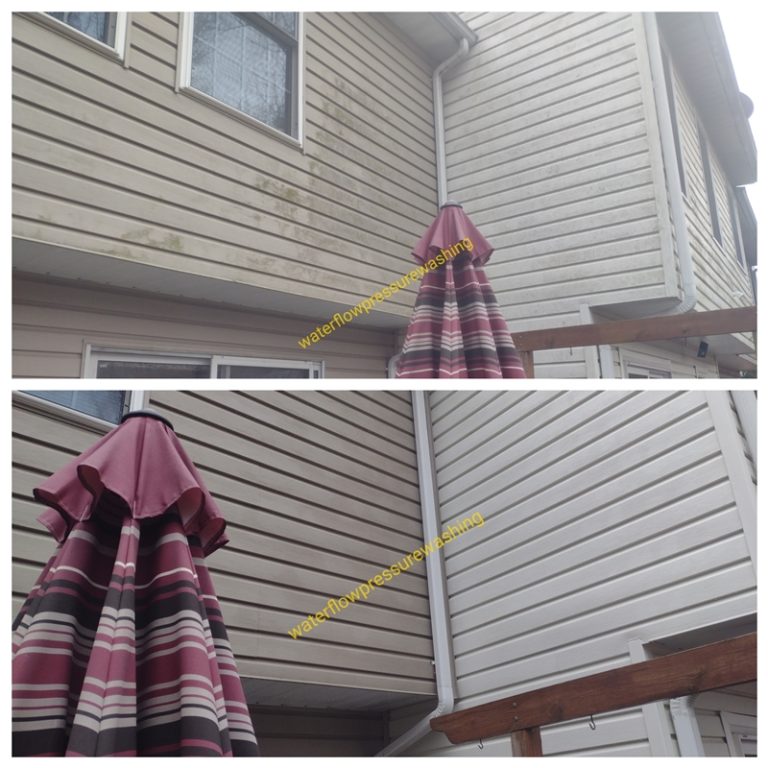 siding cleaning experts