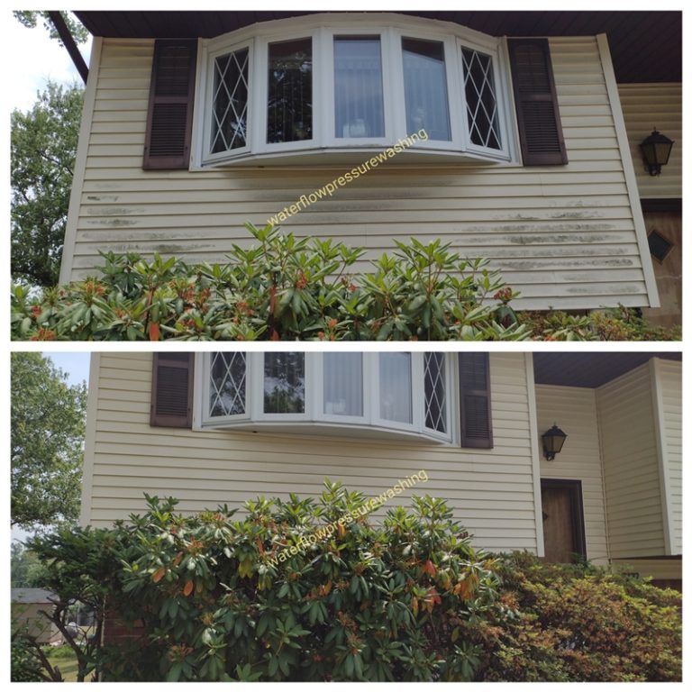 siding cleaning services